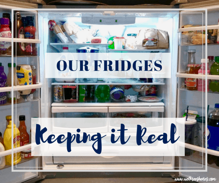 Keeping it Real | Refrigerators