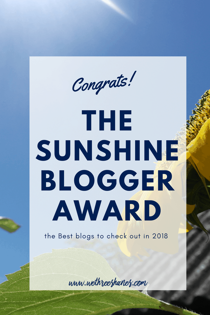 Hey ya'll! Less than 3 months in and We Three Shanes has received an award! I know, we were a bit shocked too. We're excited to share what the award is all about with you so keep reading below to find out more and the awesome bloggers we're passing it along to. | We Three Shanes
