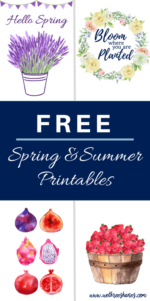 Check out the newest additions to our FREE Printables Library. We've got some great Spring and Summer Printables to help you awaken your living space and bring that fresh new Spring feeling in doors and up on your walls! | We Three Shanes