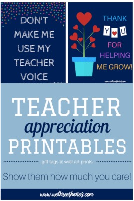 Teacher Appreciation Printables | We Three Shanes