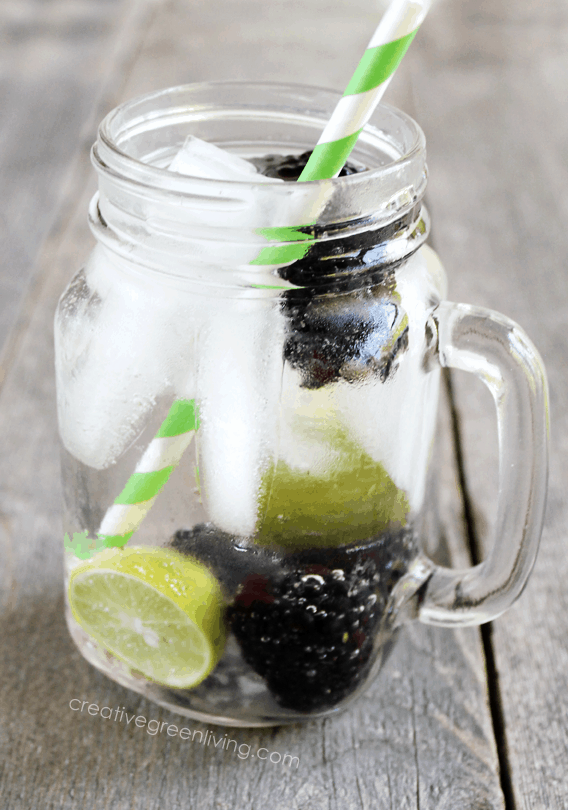 Blackberry Infused Water is a refreshing way to stay hydrated this Summer. Check out this recipe and 16 other Flavored Water Recipes by clicking the link! | We Three Shanes