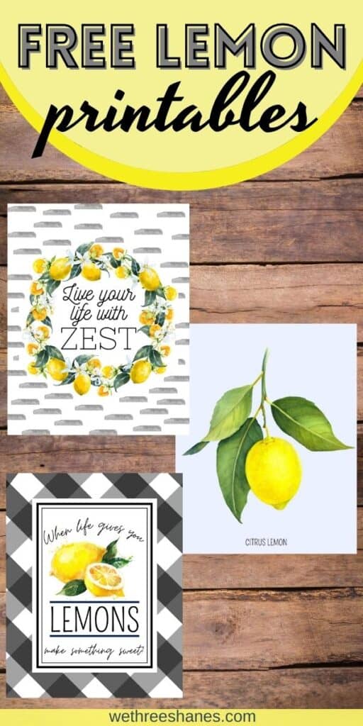 These free lemon art prints are the perfect addition to your home this spring or summer. Three simple farmhouse style designs in two popular frame sizes.