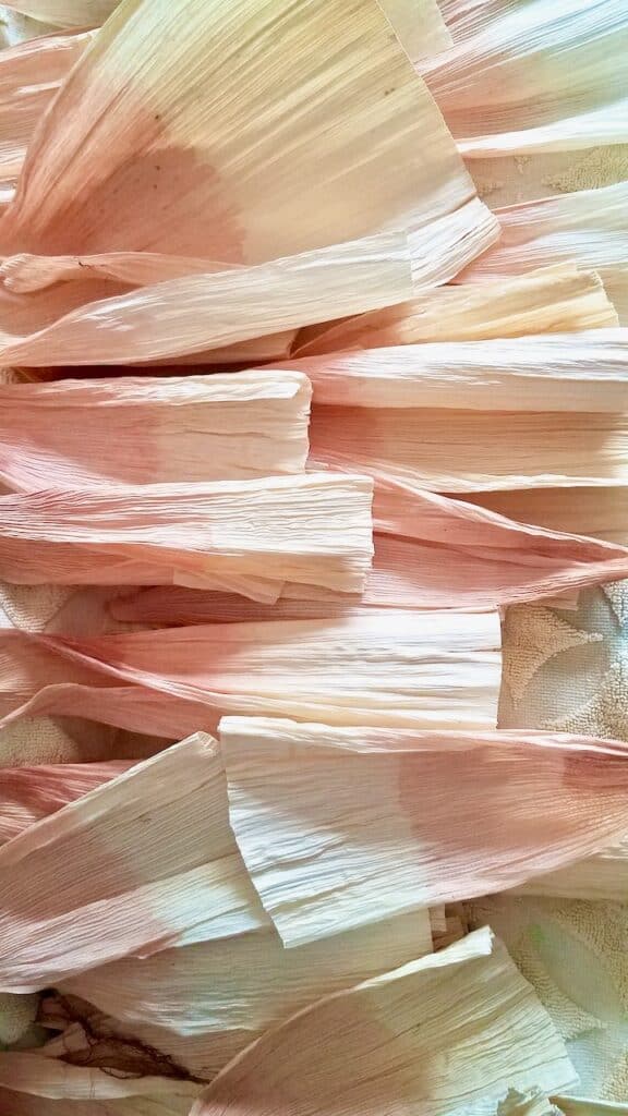 Corn husked with pink ombre tips laid out to dry.