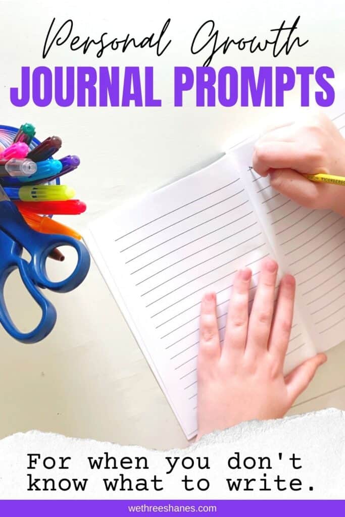 Here are some fun journaling prompts and ideas to keep you motivated and to help you grow more as a person. | We Three Shanes