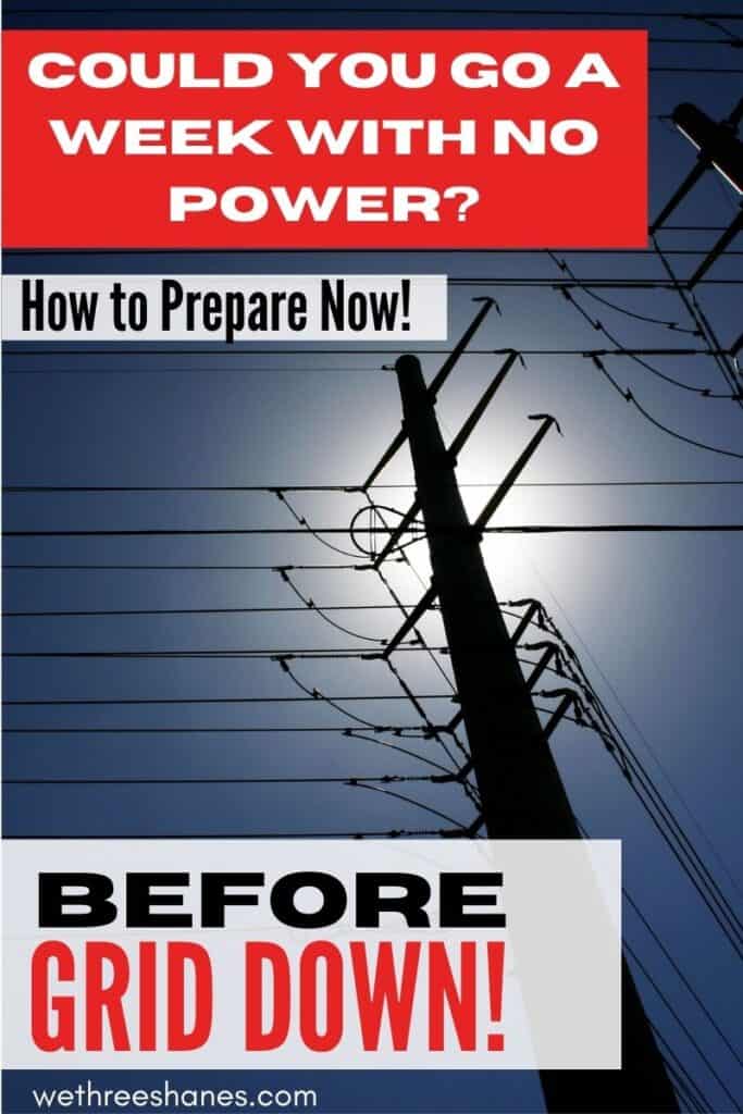 Would you be ready if suddenly your electricity and water turned off and didn't come back on for hours, days, or even a week? This grid down emergency preparedness guide for beginners will help you get ready for the first seven days of a grid down event. | We Three Shanes