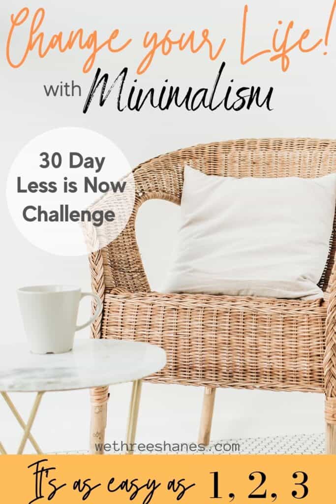 Take the Less is Now Challenge and get rid of 465 items in 30 days. That might sound like a lot but you can totally make it happen with these helpful tips. | We Three Shanes 