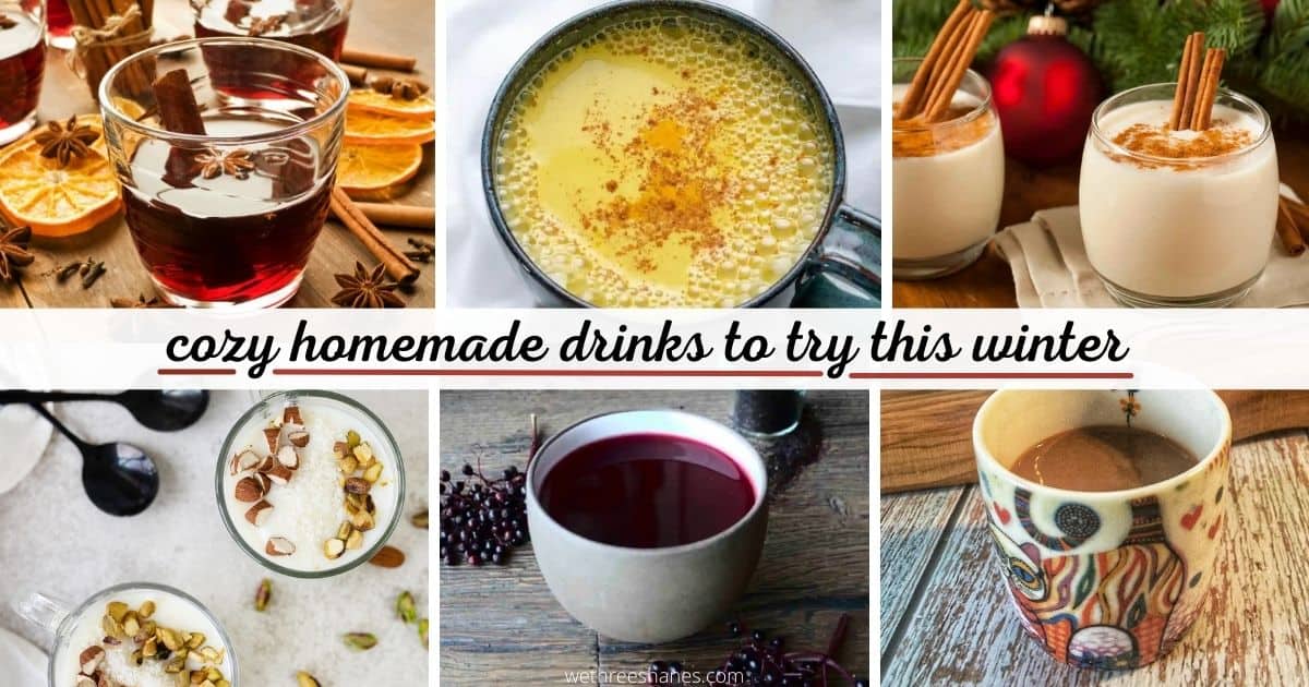 Cold Weather Drink Recipes to Try This Winter We Three Shanes