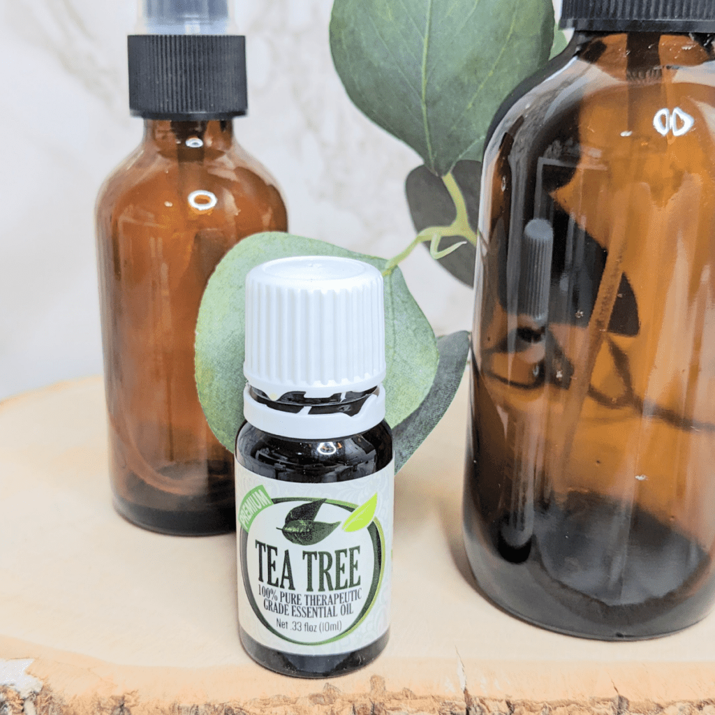 Tea Tree, one of the strongest essential oils for cleaning