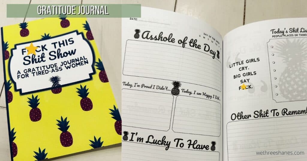 two pictures of a gratitude journal.  On the left is a picture of the outside and the right is a picture on the inside of some journal prompts 