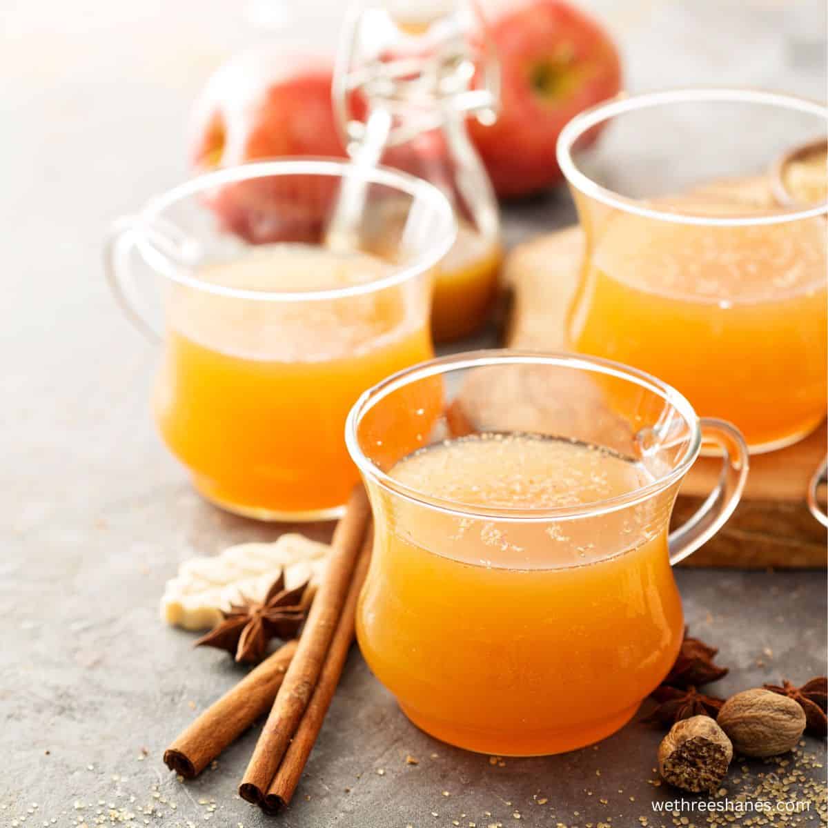 Easy 3 Ingredient Thanksgiving Punch Recipe