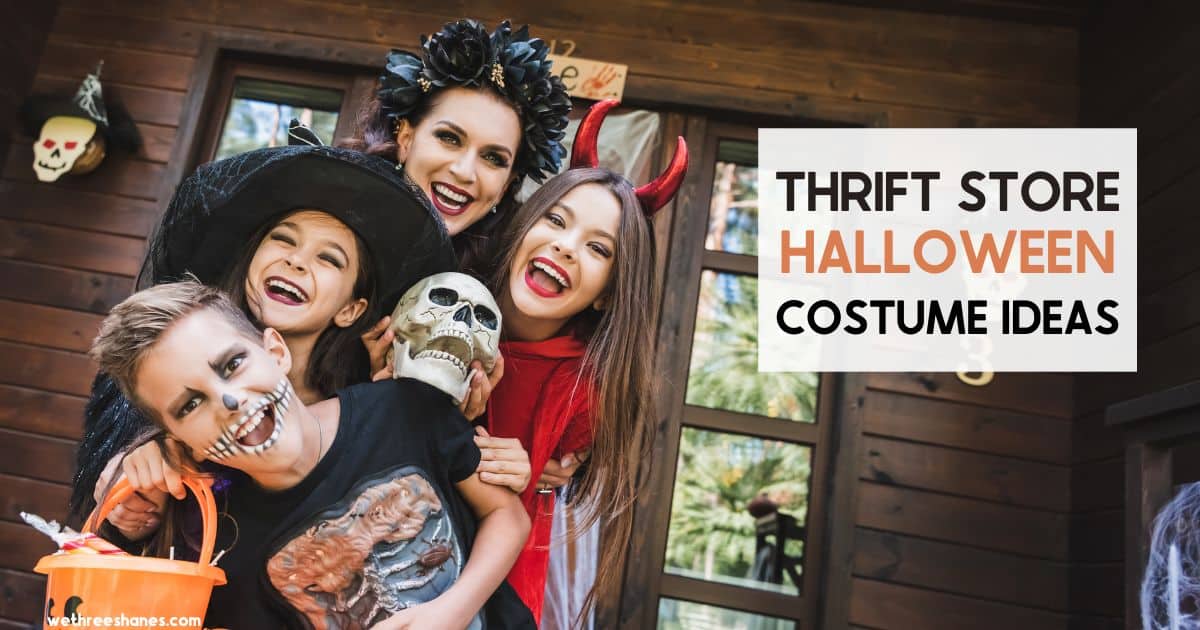 Easy Last Minute Thrift Store Costume Ideas for Halloween We Three Shanes