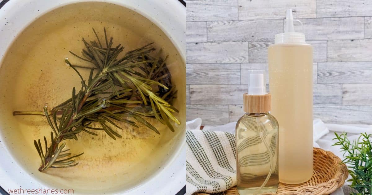 How to Make Homemade Rosemary Water for Hair Growth We Three Shanes