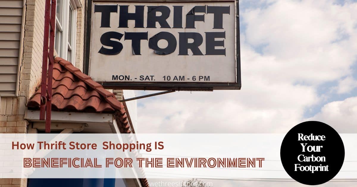 How Thrift Store Shopping Is Beneficial For The Environment | We Three ...