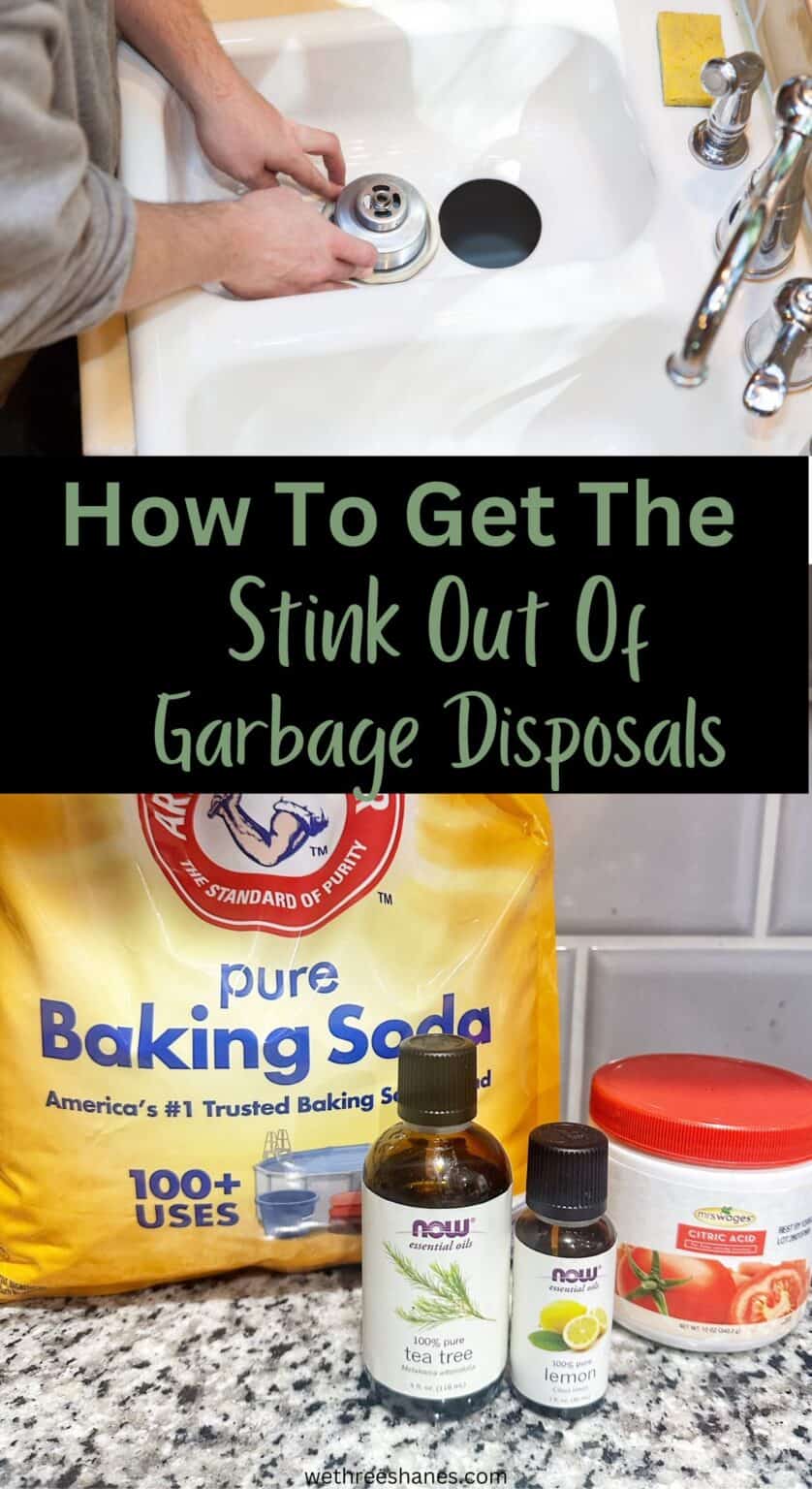 How To Get The Stink Out Of Your Garbage Disposal We Three Shanes